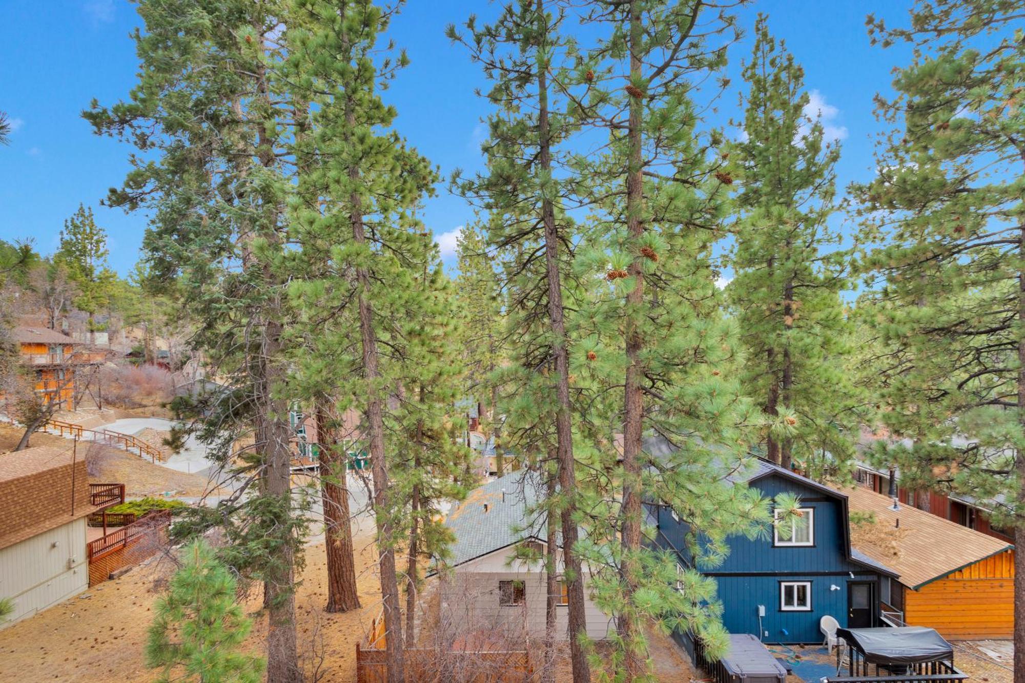 Cozy Crescent Tree Cabin Near Bear Mountain Big Bear Lake Bagian luar foto
